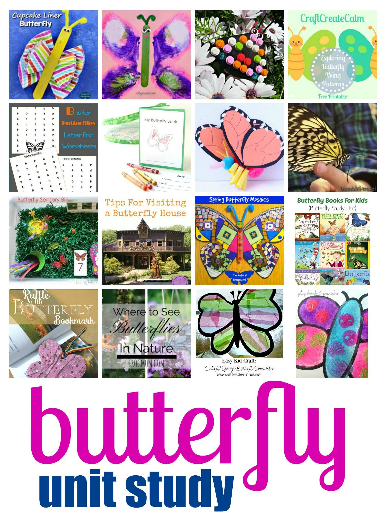 butterfly