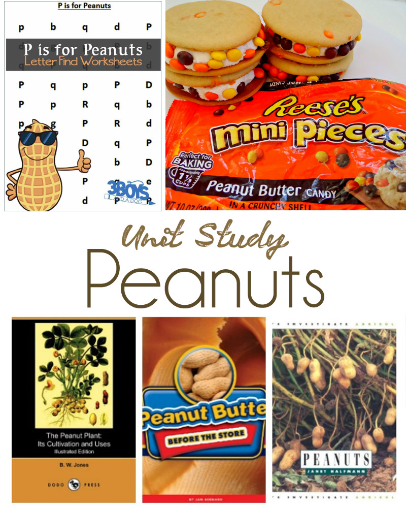 peanut4