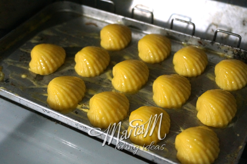 shell cookies old fashioned recipe